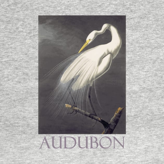 Great Egret by John James Audubon by Naves